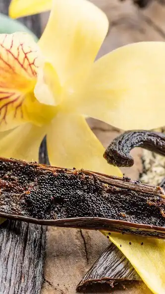 Play Vanilla Wallpaper  and enjoy Vanilla Wallpaper with UptoPlay