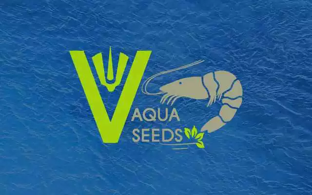 Play VAQUA SEEDS