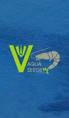 Play VAQUA SEEDS