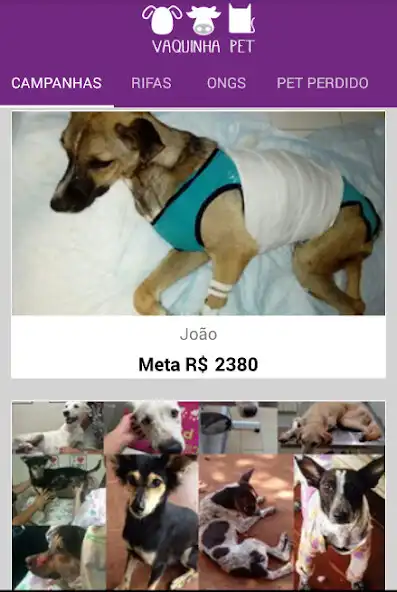 Play Vaquinha Pet  and enjoy Vaquinha Pet with UptoPlay