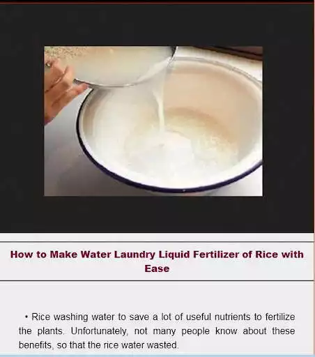 Play Various Manufacturing Processes of Fertilizers  and enjoy Various Manufacturing Processes of Fertilizers with UptoPlay