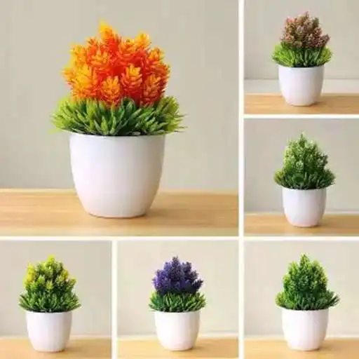 Play various ornamental plants APK