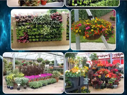 Play various ornamental plants and enjoy various ornamental plants with UptoPlay Play various ornamental plants and enjoy various ornamental plants with UptoPlay