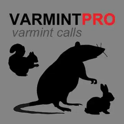 Play Varmint Calls for Hunting