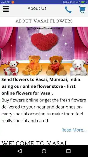 Play Vasai Flowers