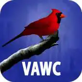 Free play online VAWorks APK