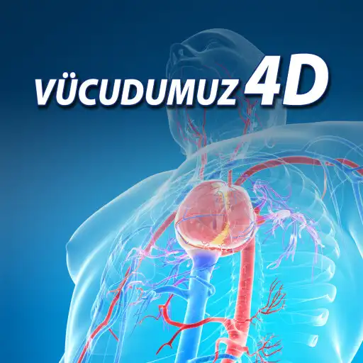Play Vücudumuz 4D APK
