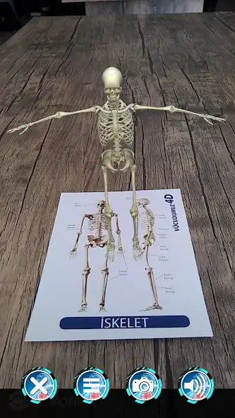 Play Vücudumuz 4D  and enjoy Vücudumuz 4D with UptoPlay