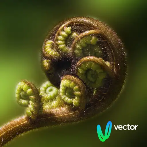 Play Vector: Te Kete Tikanga Māori APK