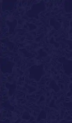 Play Vedanta HR Consulting Play Vedanta HR Consulting