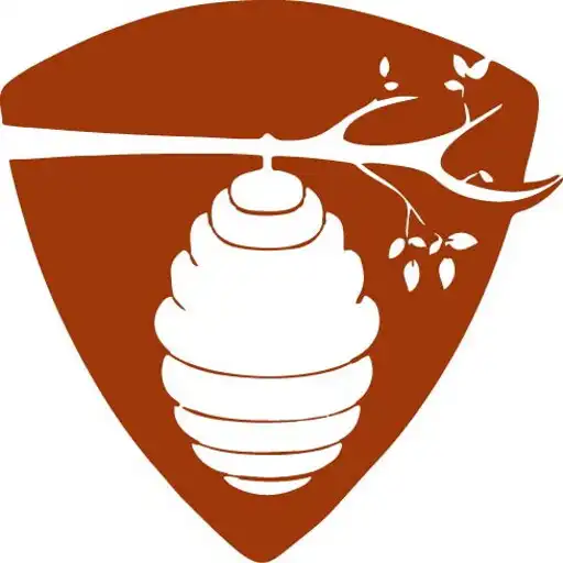 Play Vedic Hivery APK