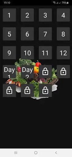 Play Vegan Diet  and enjoy Vegan Diet with UptoPlay