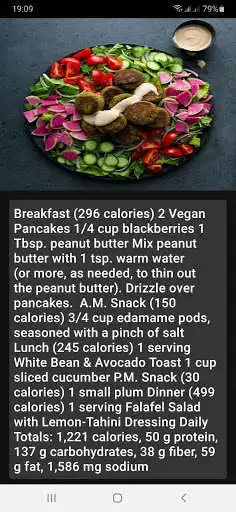 Play Vegan Diet as an online game Vegan Diet with UptoPlay