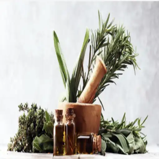 Play Vegan Hair Ayurvedic Remedies APK