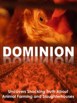 Play Vegan Lifestyle Magazine