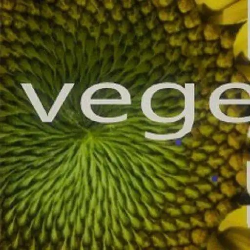 Play Vege APK