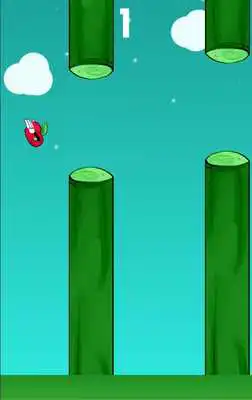 Play Vegetable Bird