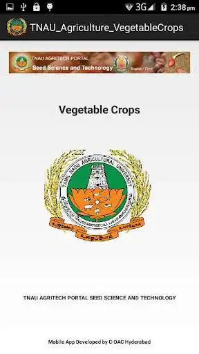 Play Vegetable Crops