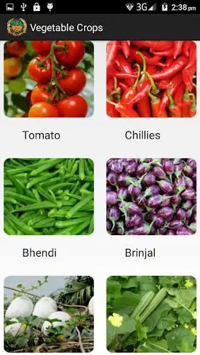 Play Vegetable Crops