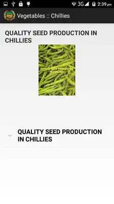 Play Vegetable Crops