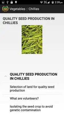 Play Vegetable Crops