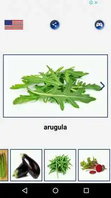 Play Vegetable Name