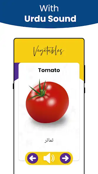 Play Vegetable Names in Urdu as an online game Vegetable Names in Urdu with UptoPlay