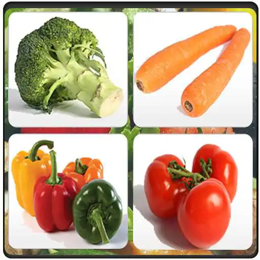 Play APK Vegetable Names Quiz  and enjoy Vegetable Names Quiz with UptoPlay com.shoro7ate.vegetables_name_quiz