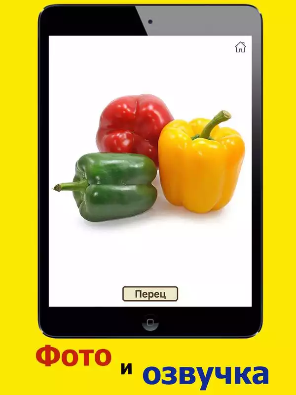 Play Vegetables and fruits for kids