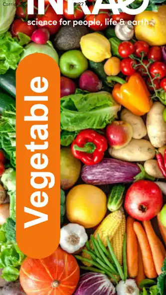 Play Vegetable  and enjoy Vegetable with UptoPlay