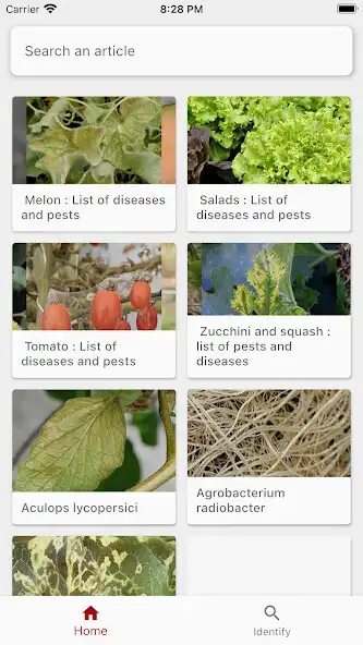 Play Vegetable as an online game Vegetable with UptoPlay