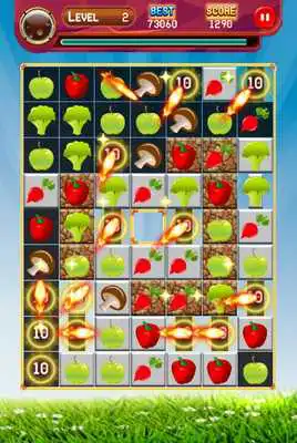 Play Vegetables Fruit Match