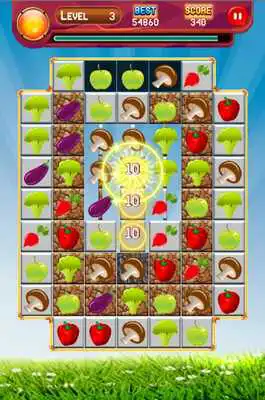 Play Vegetables Fruit Match