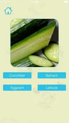 Play Vegetables Play Vegetables