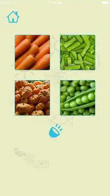Play Vegetables Play Vegetables