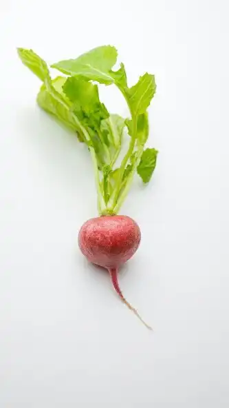 Play Vegetable Wallpapers as an online game Vegetable Wallpapers with UptoPlay