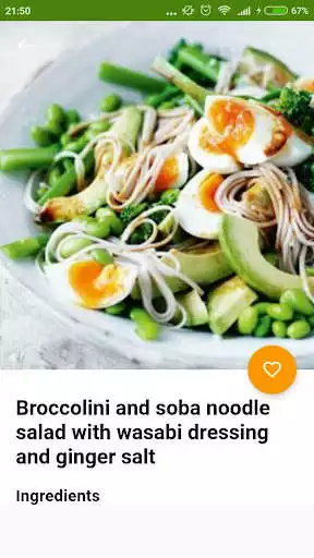 Play Vegetarian Recipes Offline