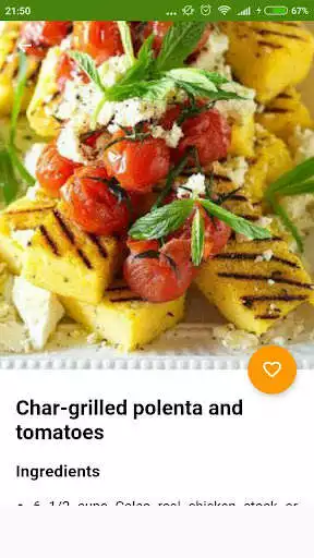 Play Vegetarian Recipes Offline