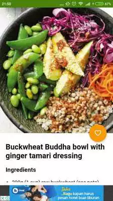 Play Vegetarian Recipes Offline
