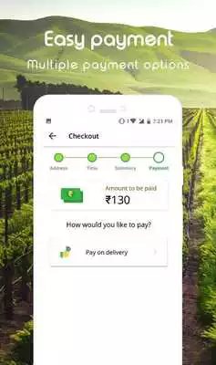 Play Veggie Factory - Online Vegetables  fruits