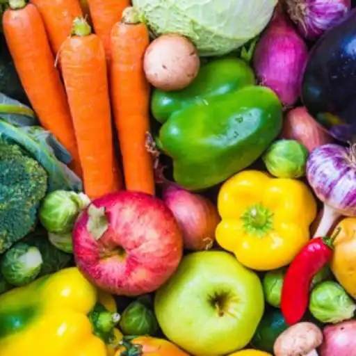 Play vegtable growing APK