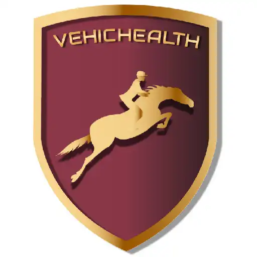 Play VehicHealth APK