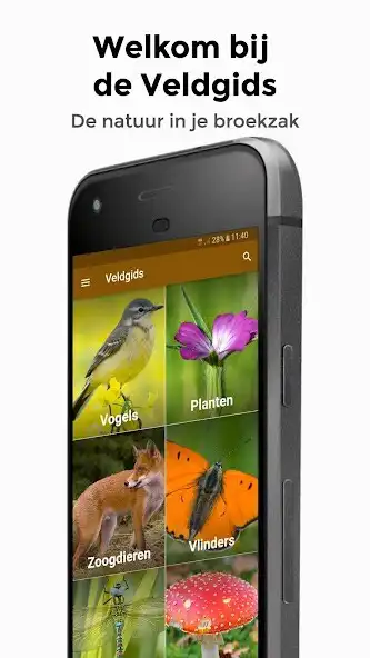 Play Veldgids - vogels bloemen dieren en paddestoelen  and enjoy Veldgids - vogels bloemen dieren en paddestoelen with UptoPlay