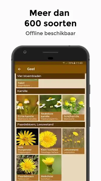Play Veldgids - vogels bloemen dieren en paddestoelen as an online game Veldgids - vogels bloemen dieren en paddestoelen with UptoPlay