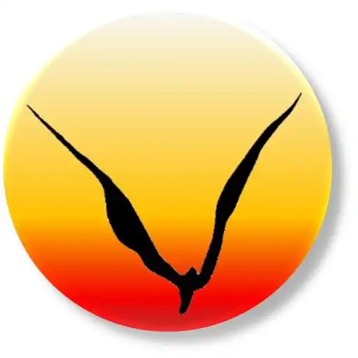 Play Venice 311 APK Play Venice 311 APK