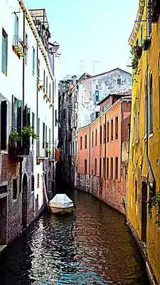 Play Venice HD Wallpaper Play Venice HD Wallpaper