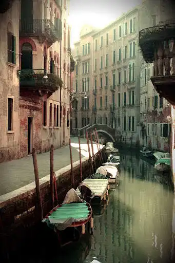 Play Venice Live Wallpaper
