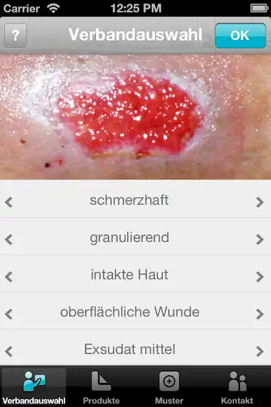 Play Verbandauswahl DE as an online game Verbandauswahl DE with UptoPlay