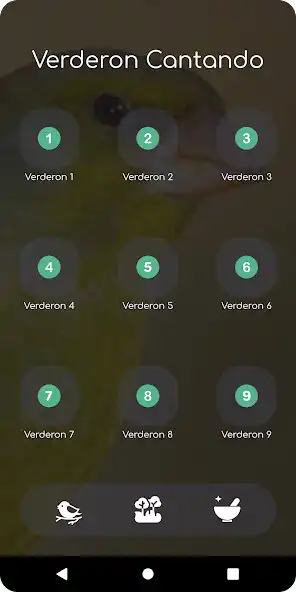 Play verderón cantando as an online game online verderón cantando with UptoPlay Play verderón cantando as an online game verderón cantando with UptoPlay
