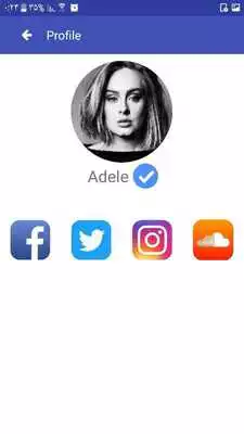 Play Verified badge on Instagram, Twitter and Facebook